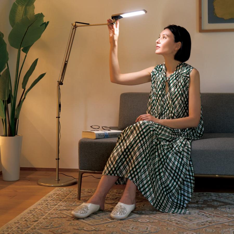 dinos（ディノス） LED エグザームDIVA（ディーバ） ディーバフロア