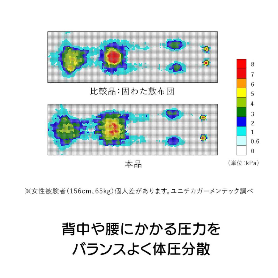 dinos（ディノス） 布団 三つ折り 快眠 省スペース 軽量 サポート 体圧