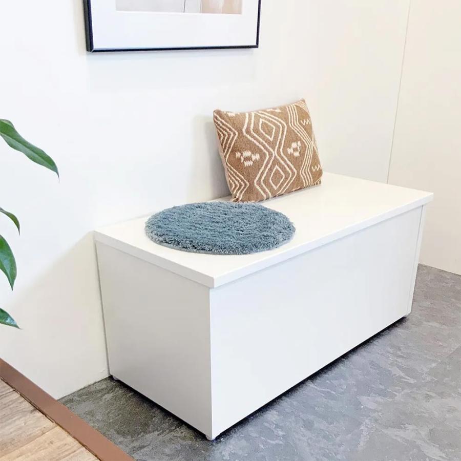 dinos（ディノス） 耐荷重100kg！組立不要 収納庫付ベンチ ボックス