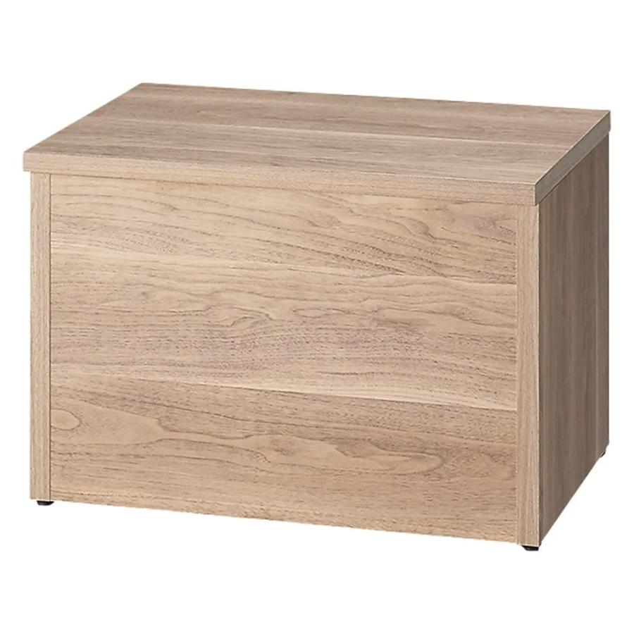 dinos（ディノス） 耐荷重100kg！組立不要 収納庫付ベンチ ボックス