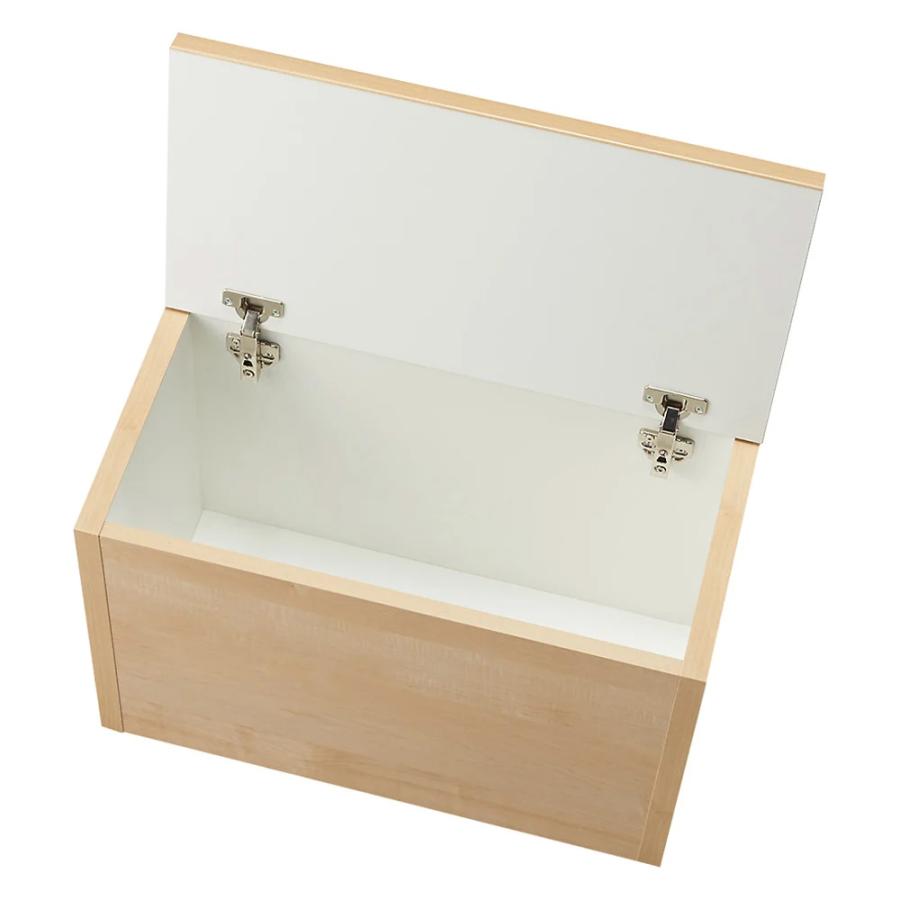 dinos（ディノス） 耐荷重100kg！組立不要 収納庫付ベンチ ボックス