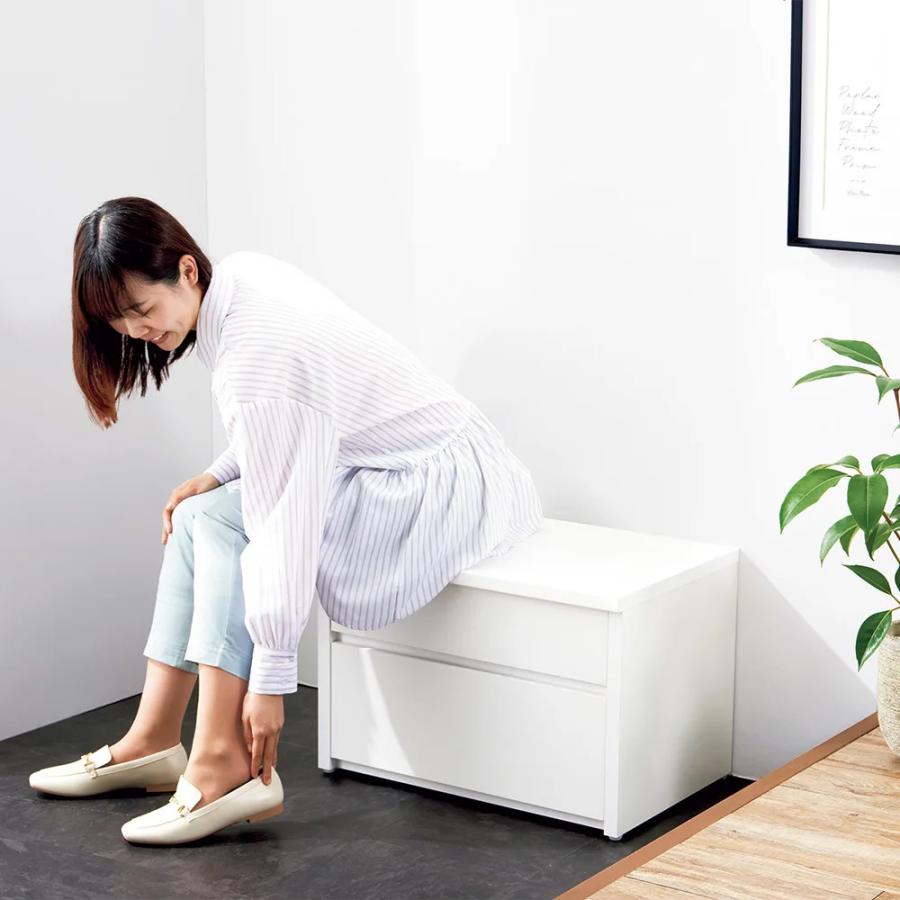 dinos（ディノス） 耐荷重100kg！組立不要 収納庫付ベンチ ボックス