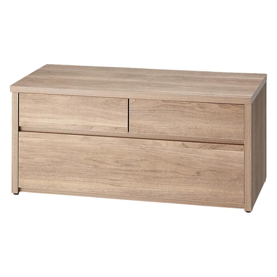 dinos（ディノス） 耐荷重100kg！組立不要 収納庫付ベンチ 引き出し