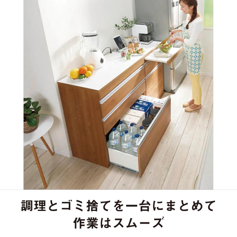 dinos（ディノス） 組立不要 スライドテーブル付きキッチン収納 ゴミ箱