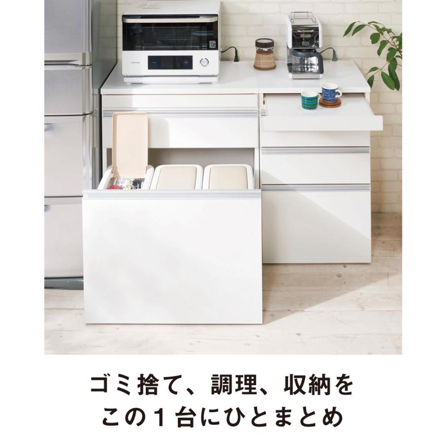 dinos（ディノス） 組立不要 スライドテーブル付きキッチン収納 ゴミ箱