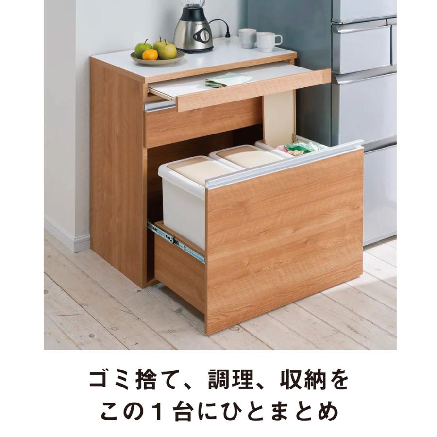 dinos 組立不要 スライドテーブル付きキッチン収納 ゴミ箱3分別