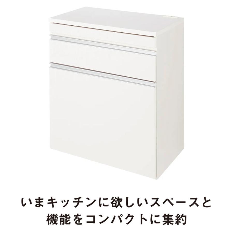 dinos（ディノス） 組立不要 スライドテーブル付きキッチン収納 ゴミ箱