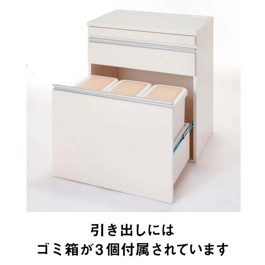 dinos 組立不要 スライドテーブル付きキッチン収納 ゴミ箱3分別