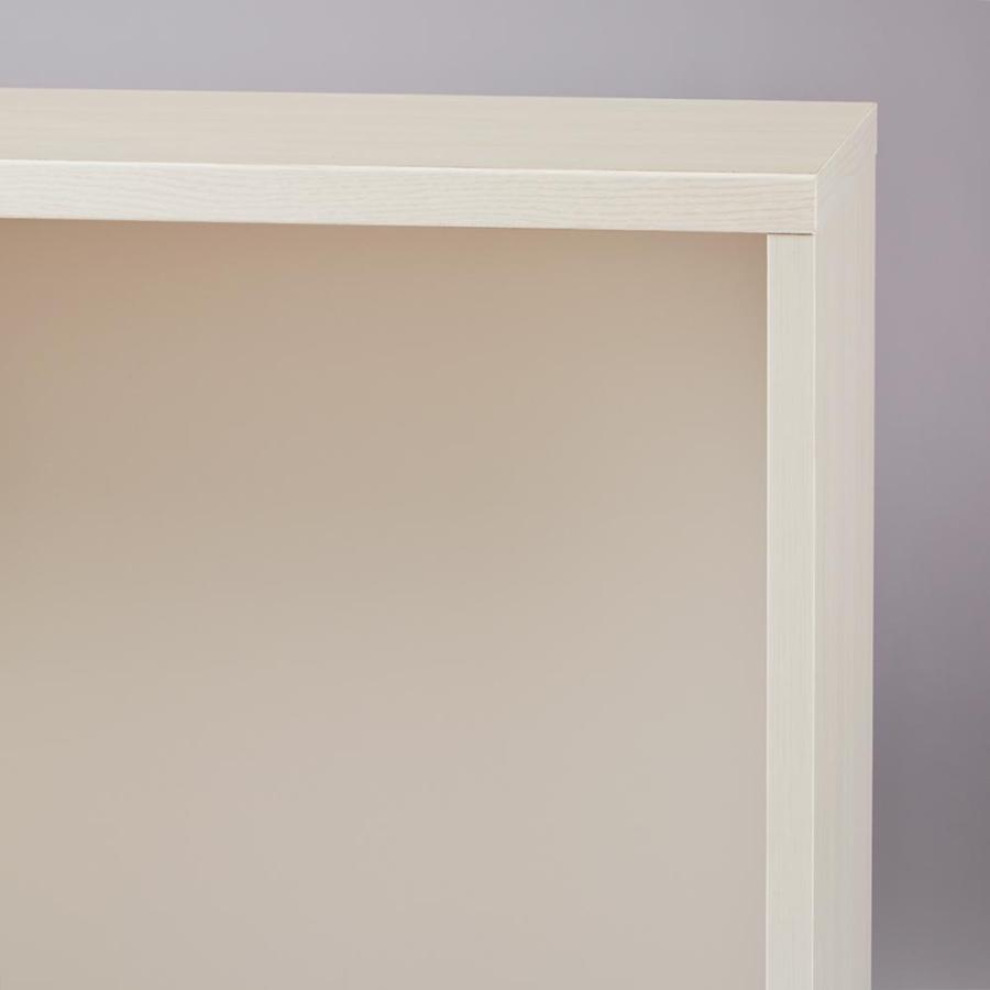 dinos（ディノス） 完成品 見せるも隠すも収納シリーズ 片引き戸 幅