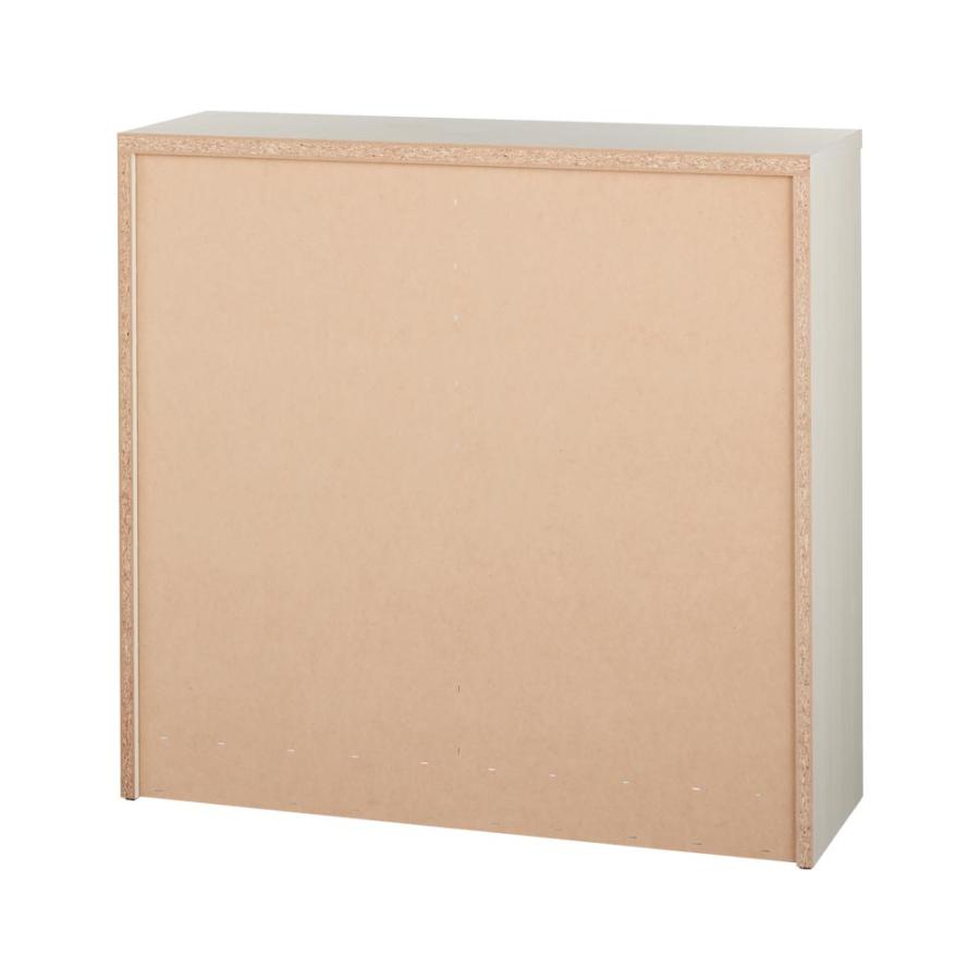 dinos（ディノス） 完成品 見せるも隠すも収納シリーズ 片引き戸 幅