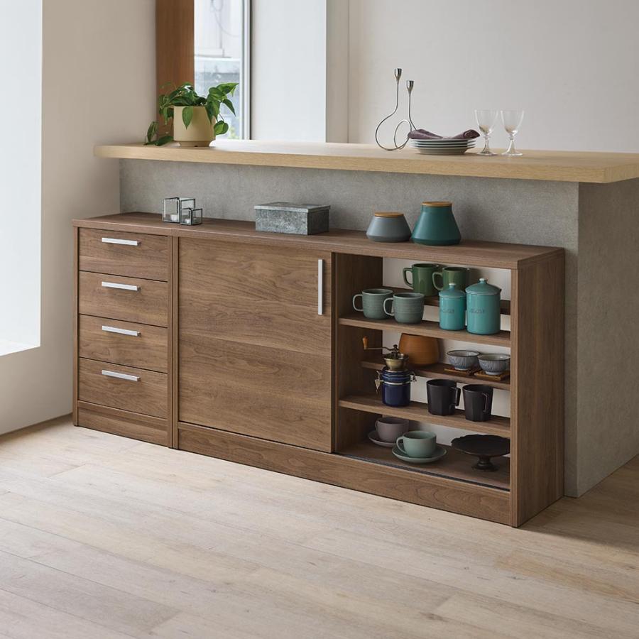 dinos（ディノス） 完成品 見せるも隠すも収納シリーズ 片引き戸 幅