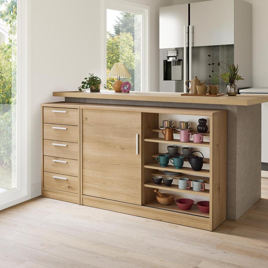 dinos（ディノス） 完成品 見せるも隠すも収納シリーズ 片引き戸 幅