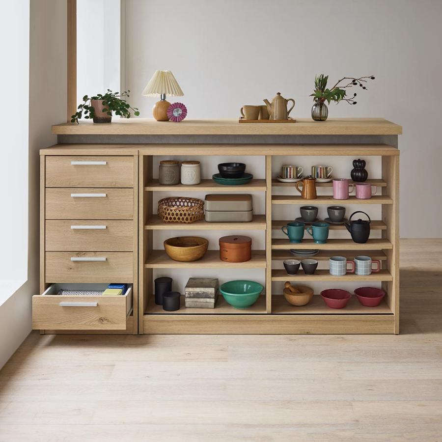 dinos（ディノス） 完成品 見せるも隠すも収納シリーズ 片引き戸 幅