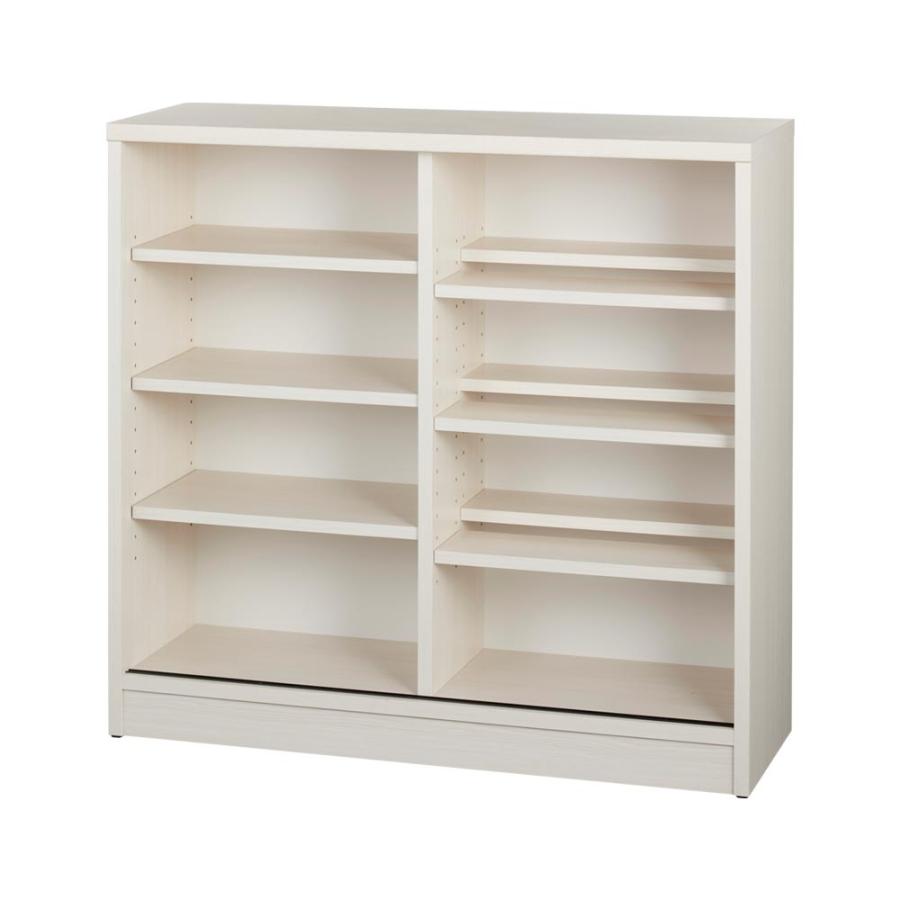 dinos（ディノス） 完成品 見せるも隠すも収納シリーズ 片引き戸 幅