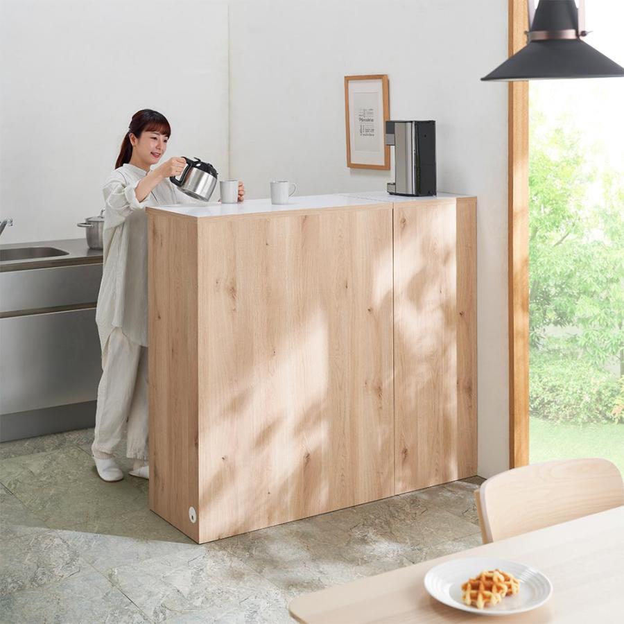 あらゆるごみ箱上を収納にできる 間仕切り家電収納庫 幅45cm リビング収納 パーテーション 間仕切り 630520の画像
