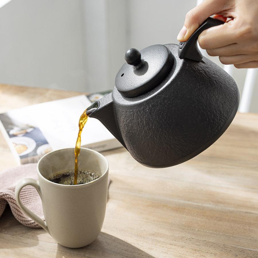 dinos（ディノス） 鉄瓶・急須としても使える南部鉄器コーヒーポット