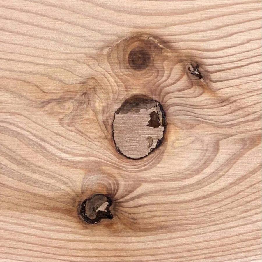 dinos（ディノス） 日田杉 天然木頑丈ラック ハイタイプ 幅150cm