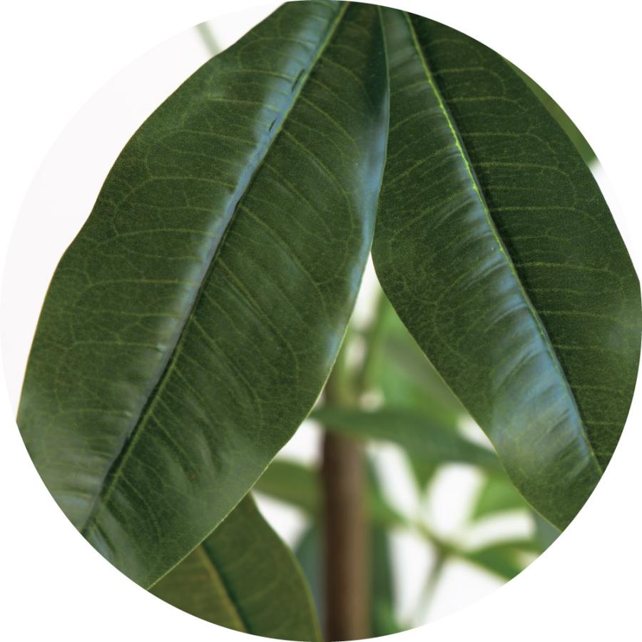 941❤️ 洗濯機 7キロ 一人暮らし 安い 綺麗 24年製 設置無料 黒 中古