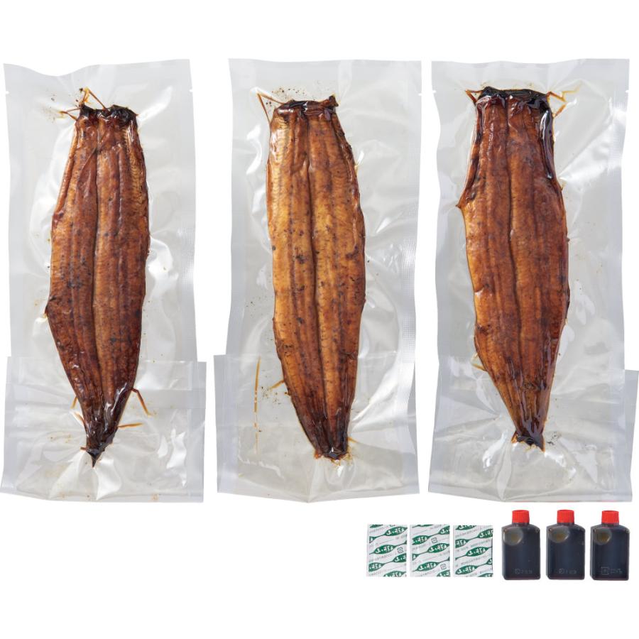 名古屋「四代目 菊川」 炭火手焼き一本うなぎ 3本 魚 海産物 うなぎ FJ0012_1