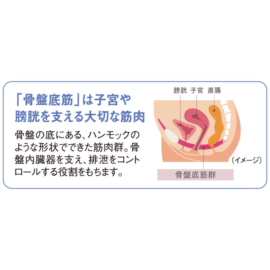 dinos（ディノス） EMS 骨盤底筋 トレーニング 防水 MYTREX/マイ