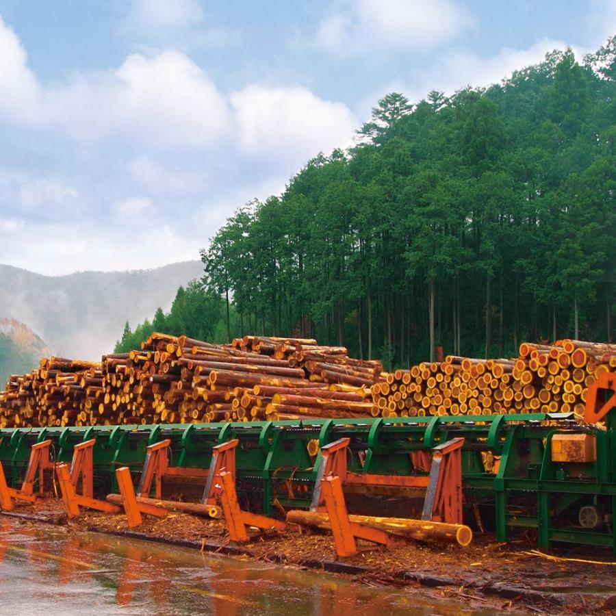 dinos（ディノス） 国産杉頑丈突っ張りラック（本棚） 幅99奥行27.5cm