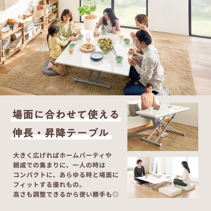dinos（ディノス） 伸長式ガス圧昇降テーブル 幅120（天板110）cm