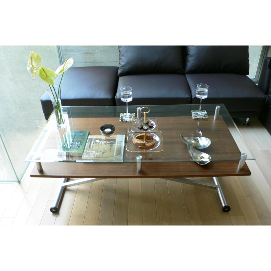 dinos（ディノス） 飛散防止フィルム貼りガラス 二重天板昇降式