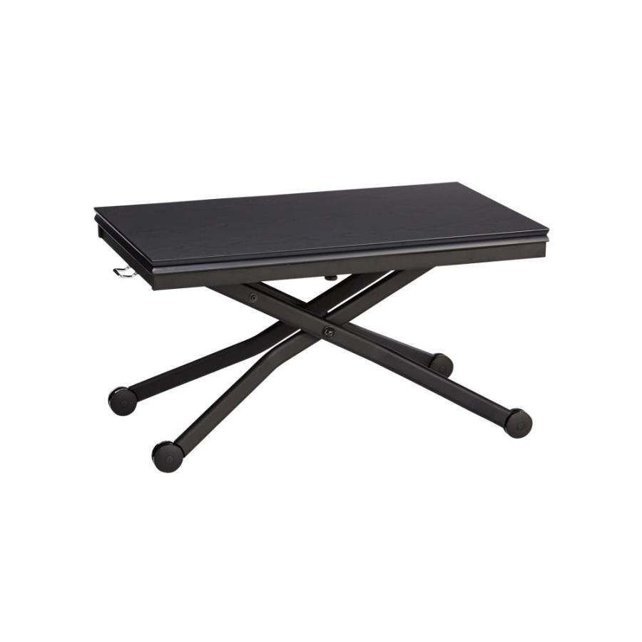 dinos（ディノス） Lehtes/レフテス 昇降エクステンションテーブル