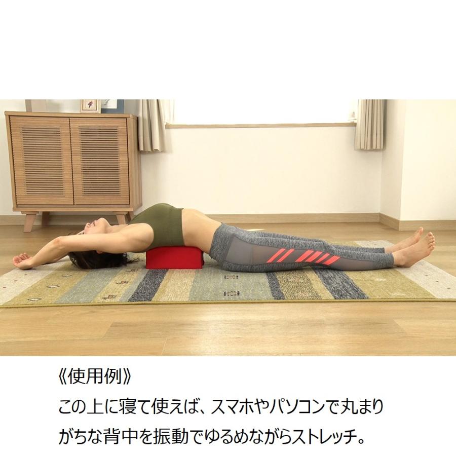 フィットネス器具 エクササイズ シェイプ 筋トレ 振動マシン 
