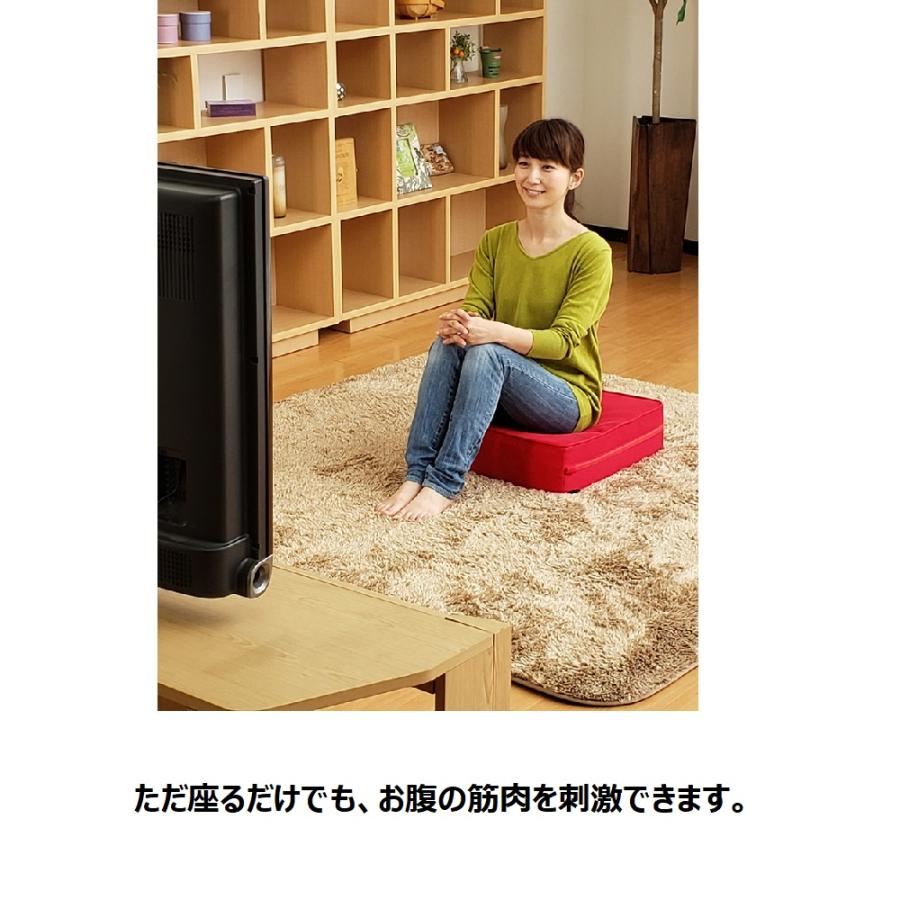 dinos シェイプ フィットネス器具 フジテレビ いいもの dinos シェイプ フィットネス器具 フジテレビ いいもの