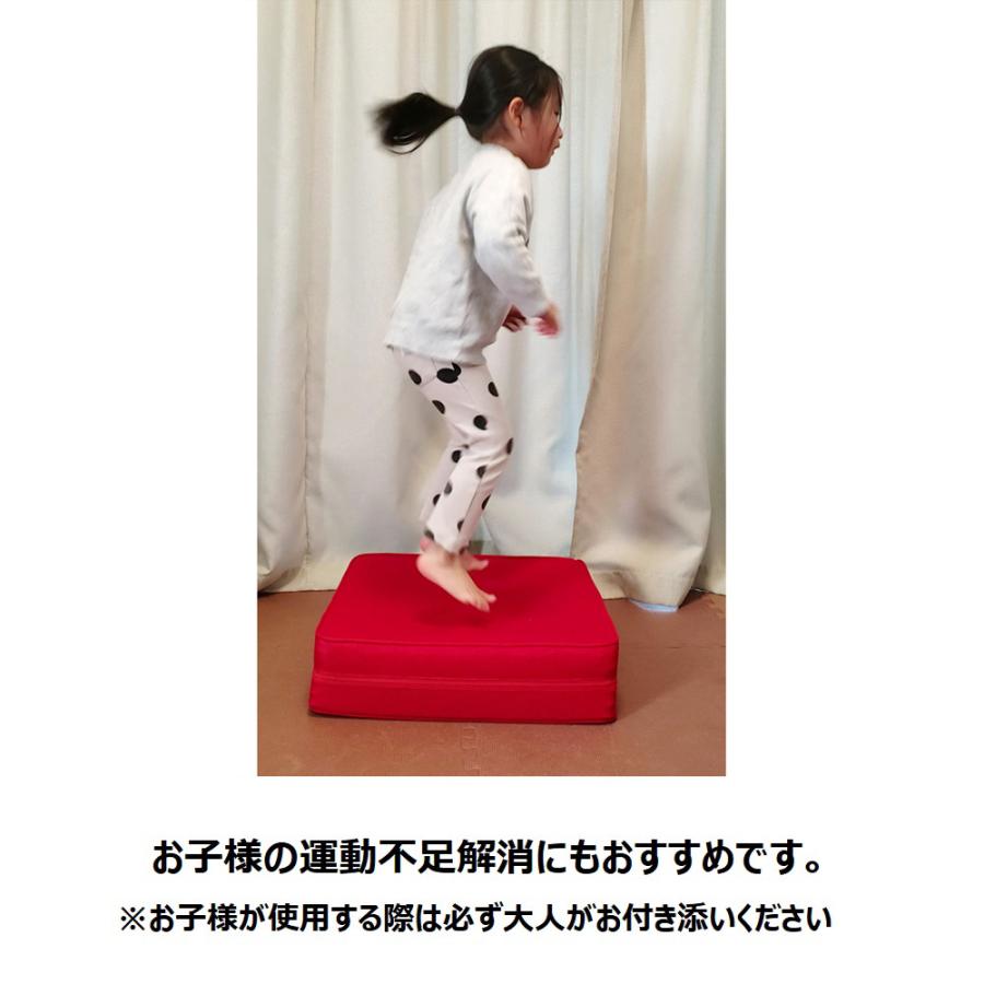 dinos（ディノス） トランポリン 大人用 フィットネス器具 フジテレビ