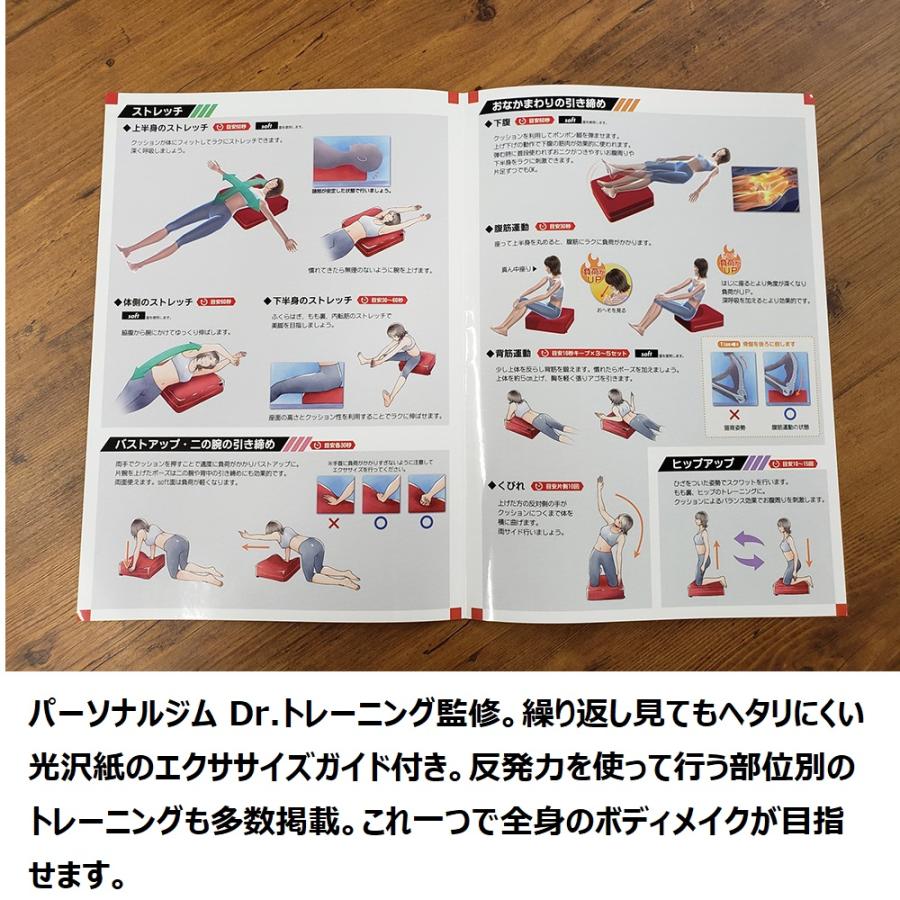 dinos（ディノス） トランポリン 大人用 フィットネス器具 フジテレビ