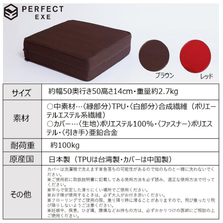 美品　PERFECT EXE パーフェクトエクサ ブラウン ダイエット パーフェクトエクサ 通販 - ディノス