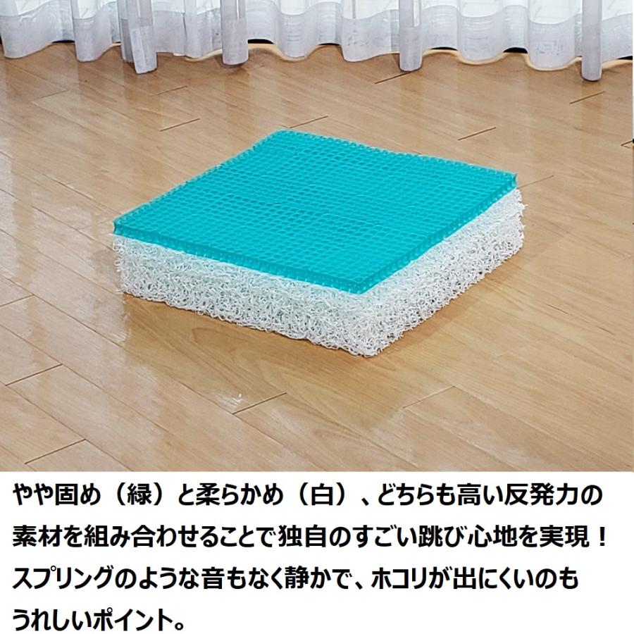 パーフェクトエクサ トランポリン dinos（ディノス） トランポリン 大人用 フィットネス器具 フジテレビ