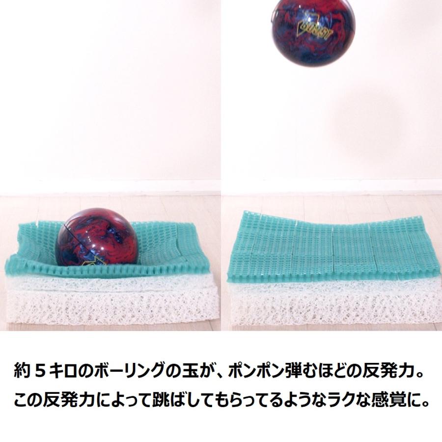 dinos（ディノス） トランポリン 大人用 フィットネス器具 フジテレビ