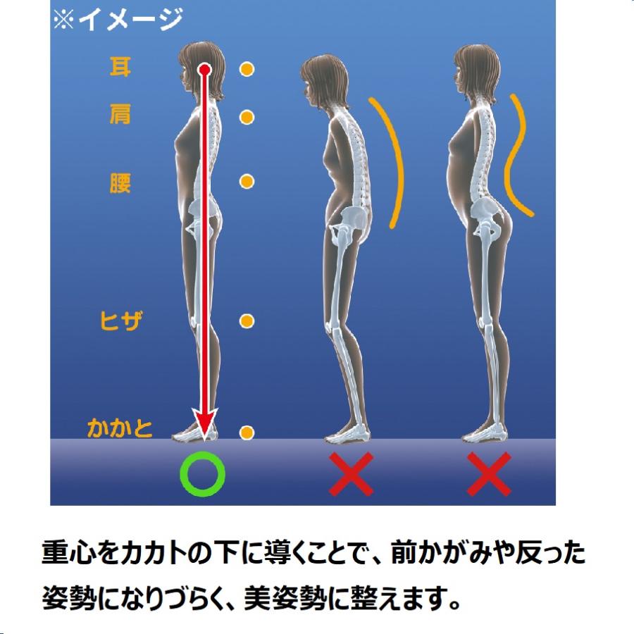 dinos（ディノス） トランポリン 大人用 フィットネス器具 フジテレビ