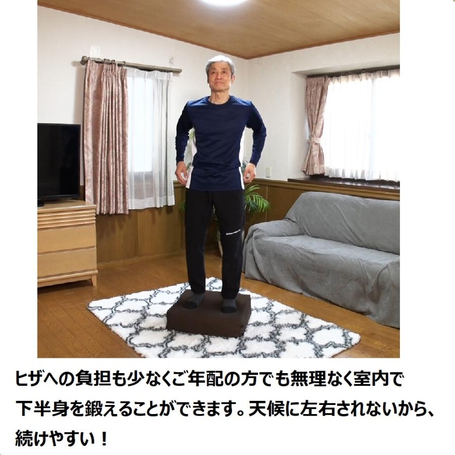 フィットネス器具 ダイエット エクササイズ シェイプ クッション 