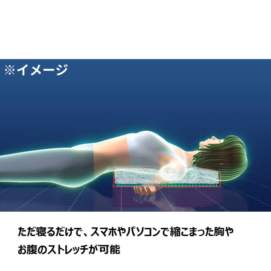 パーフェクトエクサ トランポリン dinos（ディノス） トランポリン 大人用 フィットネス器具 フジテレビ