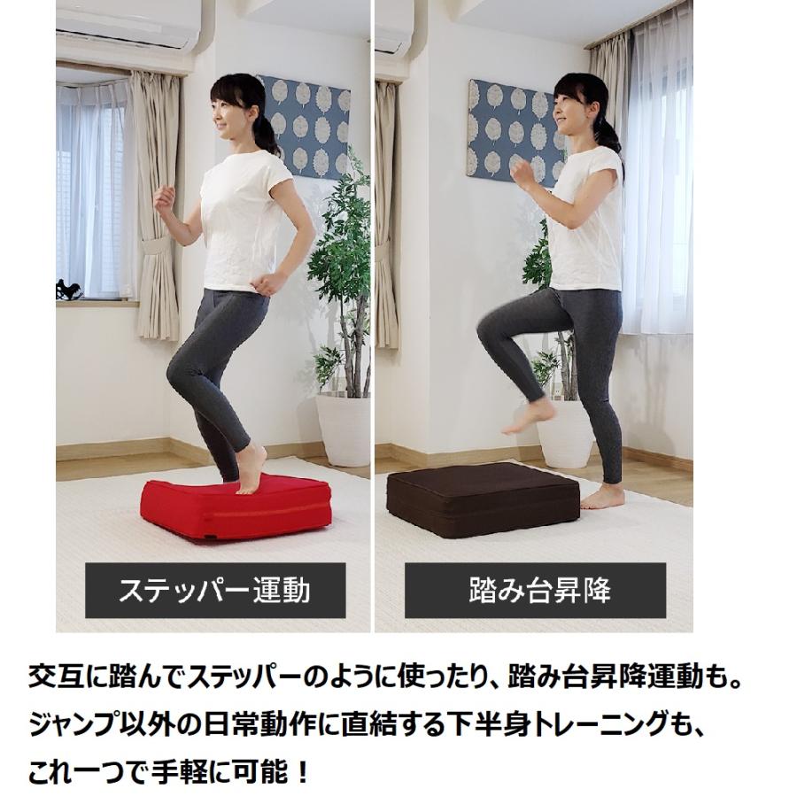 dinos シェイプ フィットネス器具 フジテレビ いいもの dinos シェイプ フィットネス器具 フジテレビ いいもの