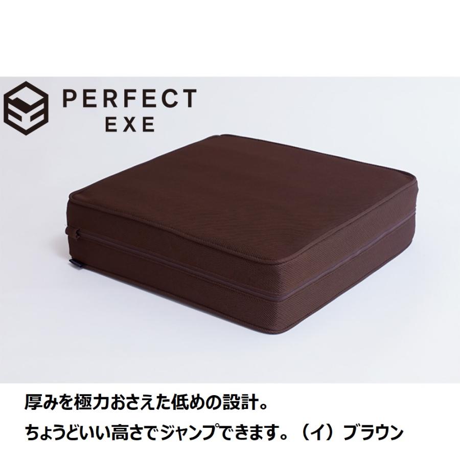 【新品未使用】ディノス PERFECT EXE パーフェクトエクサ　トランポリン dinos トランポリン 大人用 フィットネス器具 フジテレビ いい