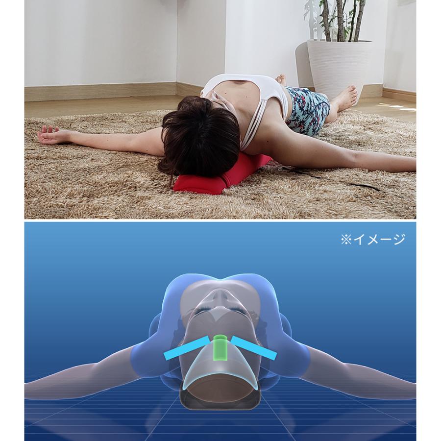 2021高い素材 エアリービューティポール dinos savingssafari.com