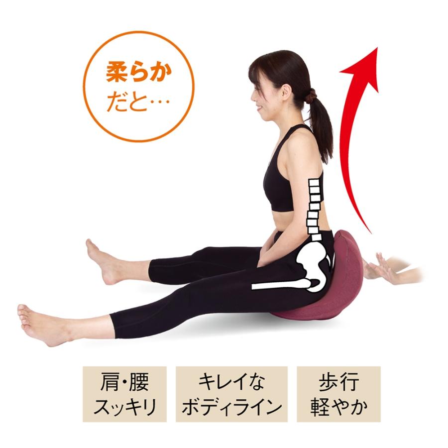 西川（nishikawa） 柔ら美人 開脚ベターイージースリム 股関節