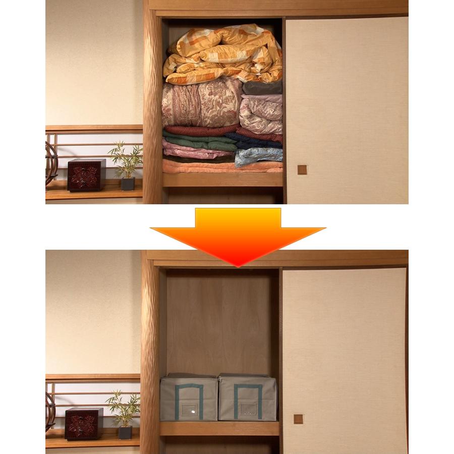 dinos（ディノス） 布団圧縮袋 収納ボックス セット ふとん 衣類 フジ