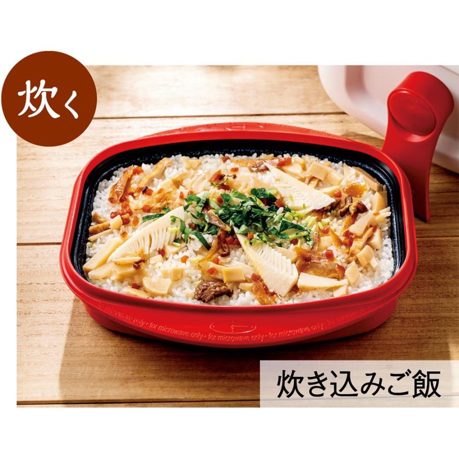 dinos レンジメートプロ 電子レンジ専用調理器 レンジで焼き魚 dinos レンジメートプロ 電子レンジ専用調理器 レンジで焼き魚
