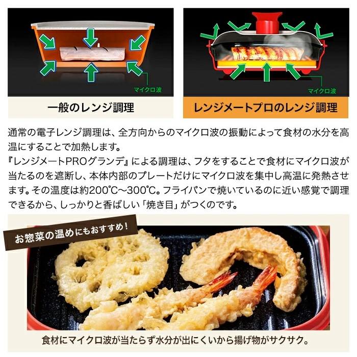 dinos レンジメートプロ 電子レンジ専用調理器 レンジで焼き魚
