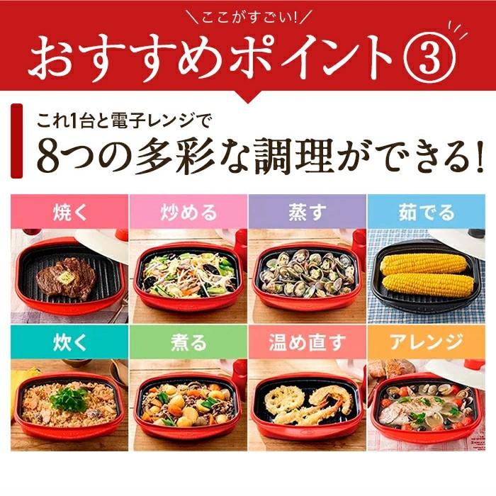 dinos レンジメートプロ 電子レンジ専用調理器 レンジで焼き魚 dinos レンジメートプロ 電子レンジ専用調理器 レンジで焼き魚