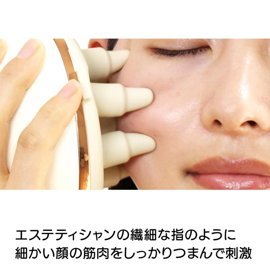 dinos 美容 ヘアケア器具 いいものプレミアム フェイスケア dinos 美容 ヘアケア器具 いいものプレミアム フェイスケア