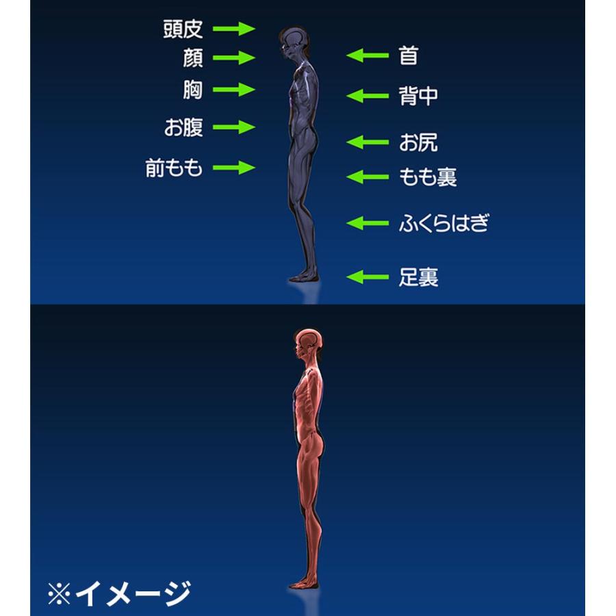伊藤超短波 シェイプビート プレミアム ems 頭皮 顔 胸 お腹 太もも 首
