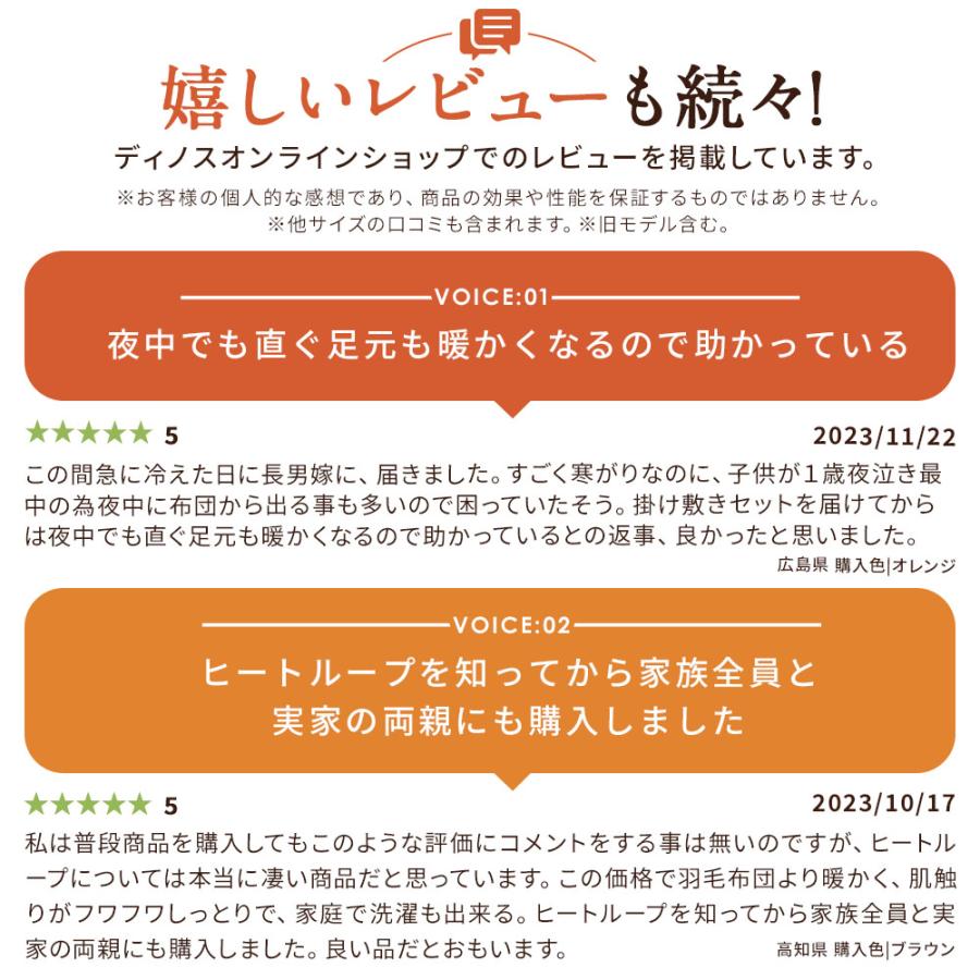 敷きパッド セット 厚手 極厚 静電気防止 あったか敷きパッド 冬用 掛け敷きセット 掛け布団 ヒートループ（R）ハイパー お得な掛け敷きセット クイーン AR2392_3