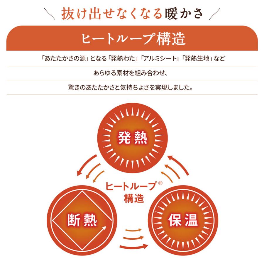 敷きパッド セット 厚手 極厚 静電気防止 あったか敷きパッド 冬用 掛け敷きセット 掛け布団 ヒートループ（R）ハイパー お得な掛け敷きセット クイーン AR2392_6
